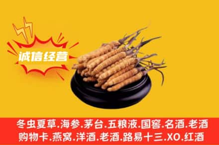 朔城区回收冬虫夏草